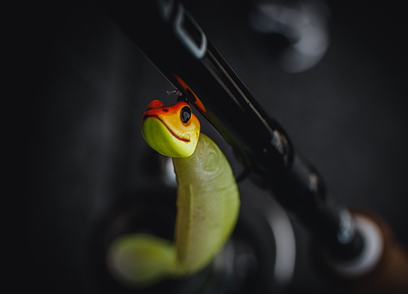 Frog Jig