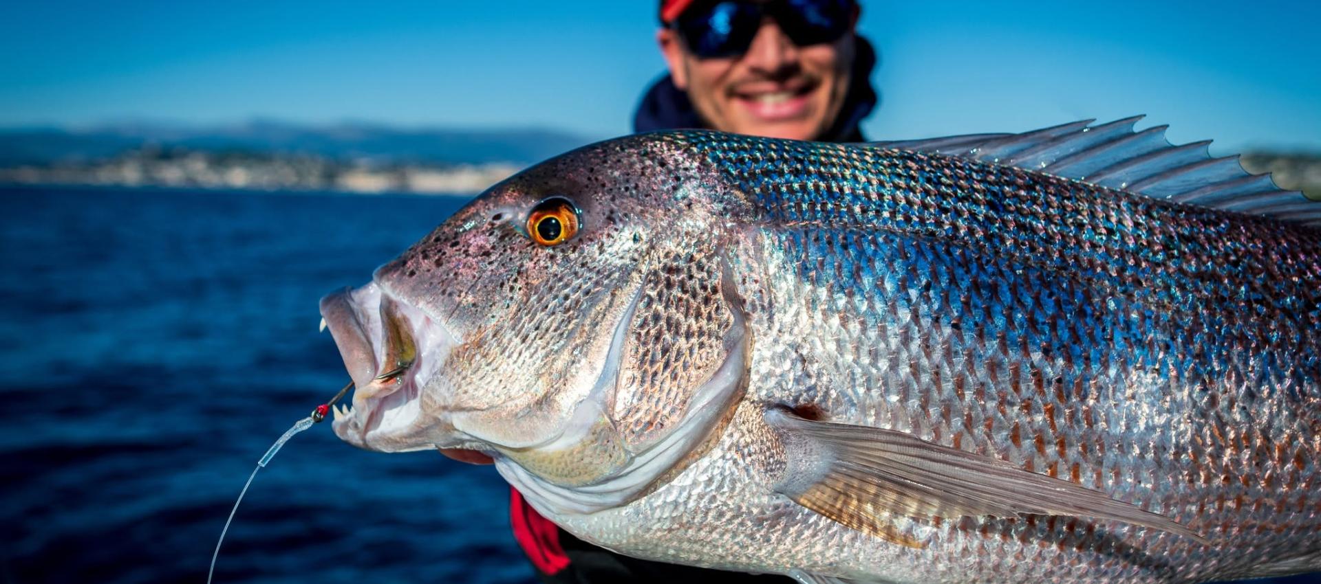 ReDenteX Evo VMC saltwater